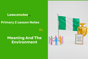 Meaning And The Environment