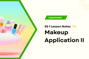 Makeup Application II -  Eyebrows & Eyeshadows