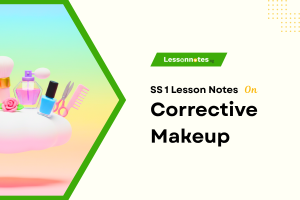 Corrective Makeup