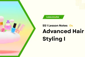 Advanced Hair Styling I