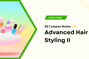 Advanced Hair Styling II