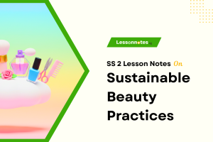 Sustainable Beauty Practices