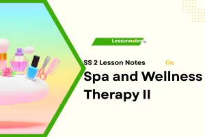 Spa and Wellness Therapy II