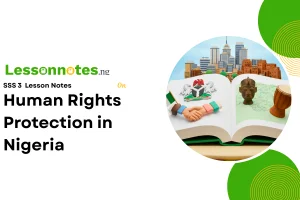 Human Rights Protection in Nigeria