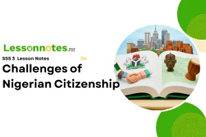 Challenges of Nigerian Citizenship