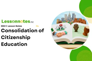 Consolidation of Citizenship Education