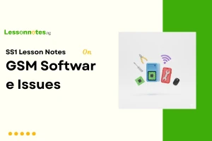 GSM Software Issue