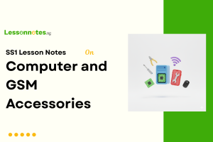 Computer and GSM Accessories