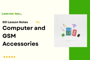 Computer and GSM Accessories
