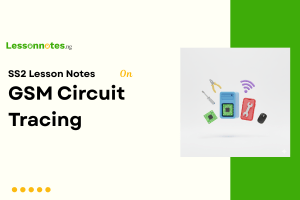 GSM Circuit Tracing