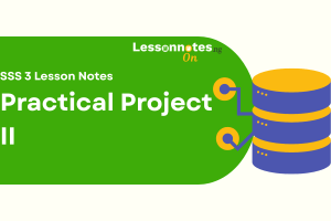 Practical Project II