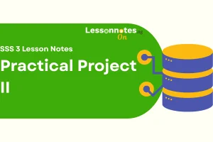 Practical Project II