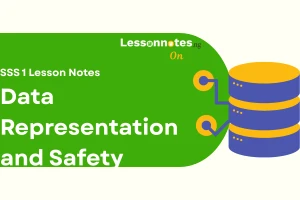 Data Representation and Safety