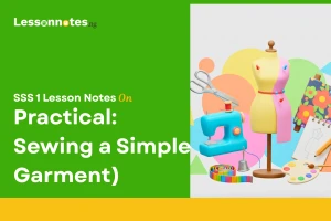 Practical (Sewing a Simple Garment)