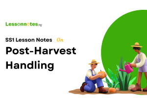Post-Harvest Handling