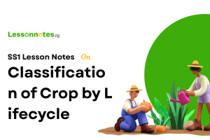 Classification of Crop by Lifecycle