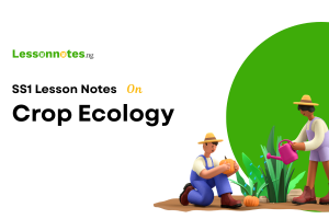 Crop Ecology