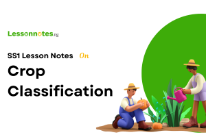 Crop Classification
