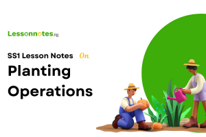 Planting Operations