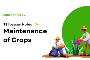 Maintenance of Crops