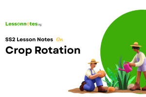 Crop Rotation