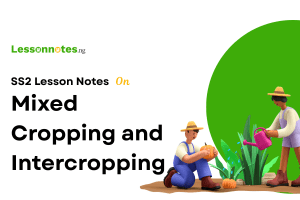 Mixed Cropping and Intercropping