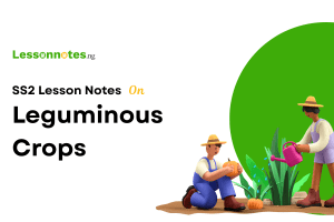Leguminous Crops