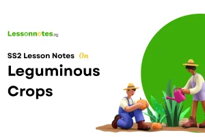 Leguminous Crops