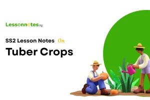 Tuber Crops