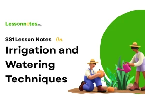 Irrigation and Watering Techniques