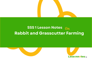 Rabbit and Grasscutter Farming