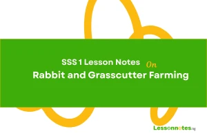 Rabbit and Grasscutter Farming