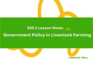 Government Policy in Livestock Farming