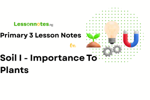 Soil I - Importance to Plants
