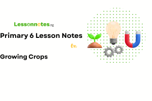 Growing Crops
