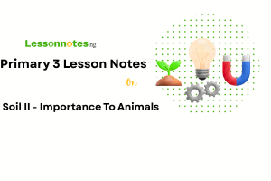 Soil II - Importance to Animals