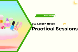 Practical Sessions