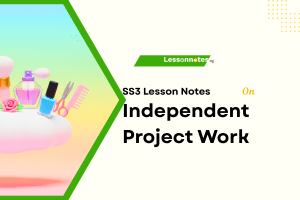 Independent Project Work