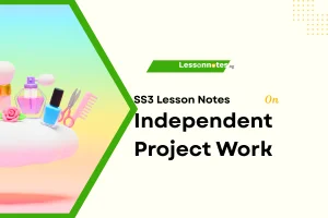 Independent Project Work