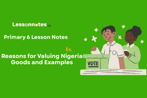 Reasons for Valuing Nigeria Goods and Examples