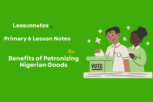 Benefits of Patronizing Nigerian Goods
