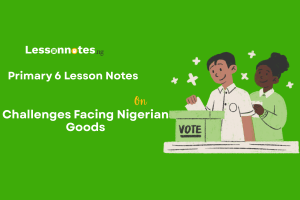 Challenges Facing Nigerian Goods