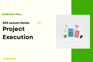Project Execution