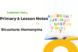 Structure: Homonyms