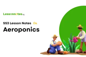 Aeroponics