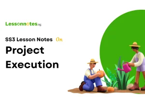 Project Execution