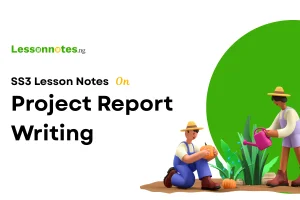 Project Report Writing