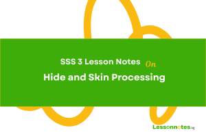 Hide and Skin Processing