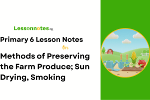 Methods of Preserving the Farm Produce; Sun Drying, Smoking