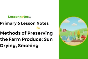 Methods of Preserving the Farm Produce; Sun Drying, Smoking